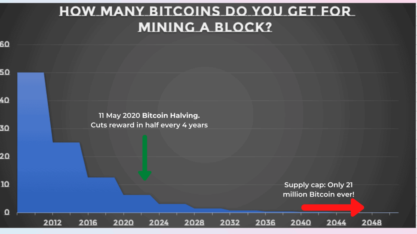 Block reward graph 1 1536x864 Block reward graph 1 1536x864