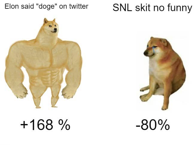 dogecoin meme on dogecoin meme on